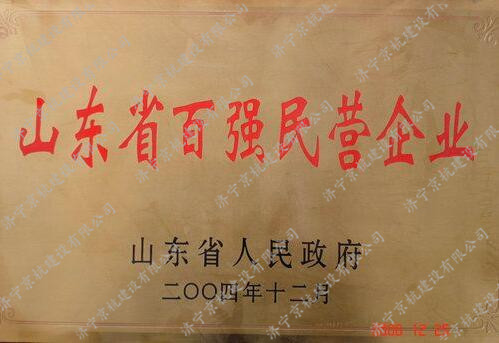 百强企业