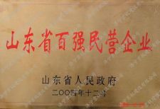 百强企业