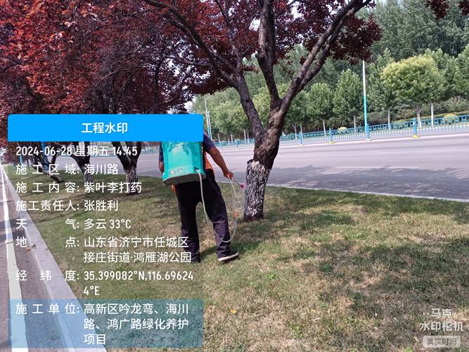 绿化养护工程